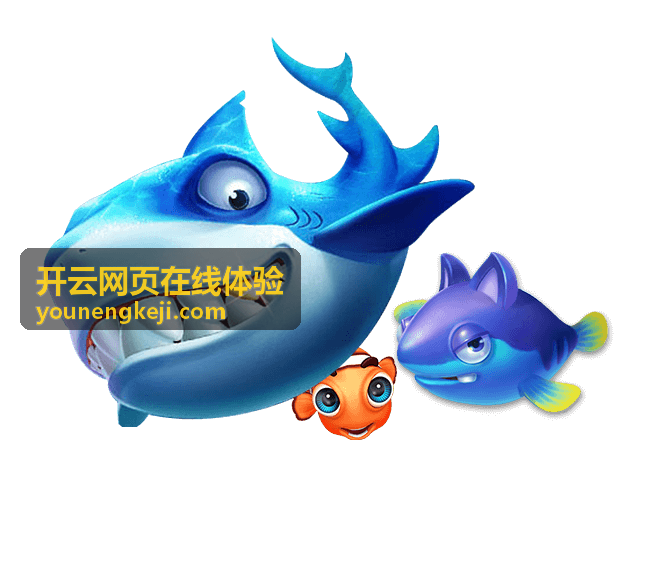 开云网页在线体验上线流程支持
