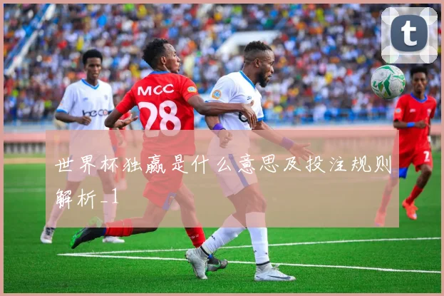 世界杯独赢是什么意思及投注规则解析_1
