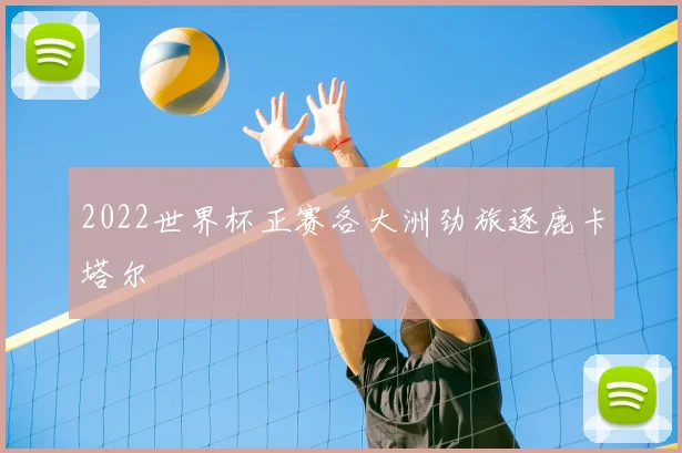 2022世界杯正赛各大洲劲旅逐鹿卡塔尔