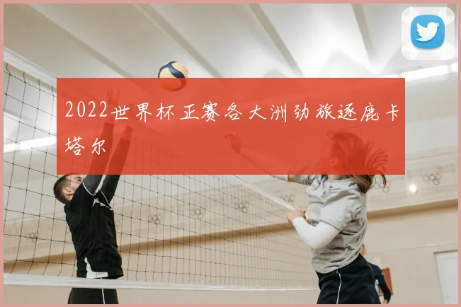 2022世界杯正赛各大洲劲旅逐鹿卡塔尔