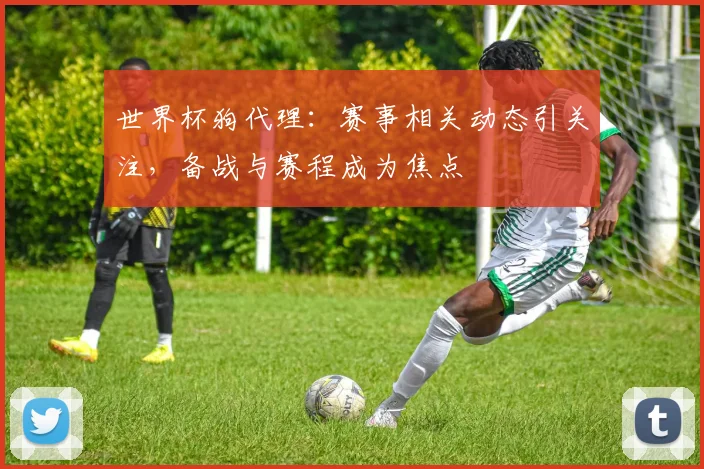 世界杯狗代理:赛事相关动态引关注,备战与赛程成为焦点