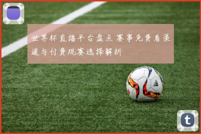 世界杯直播平台盘点 赛事免费看渠道与付费观赛选择解析