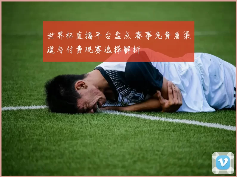 世界杯直播平台盘点 赛事免费看渠道与付费观赛选择解析